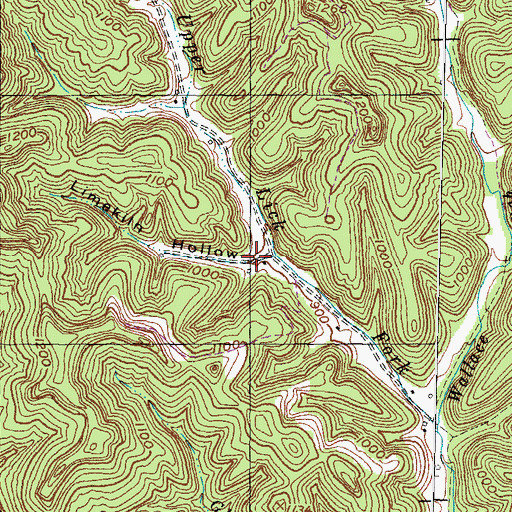 Topographic Map of Limekiln Hollow, KY