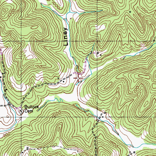 Topographic Map of Liney Hollow, KY