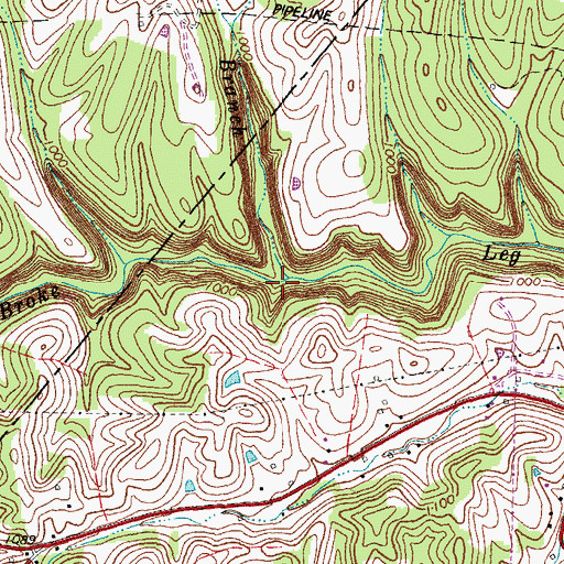 Topographic Map of Lion Cave Branch, KY