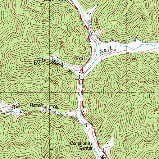 Topographic Map of Little Beech Branch, KY