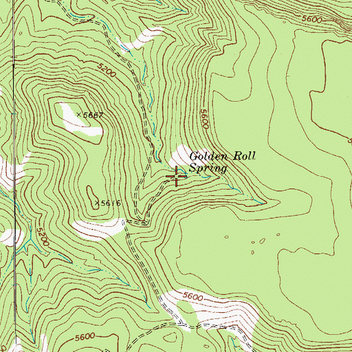 Topographic Map of Golden Roll Spring, AZ