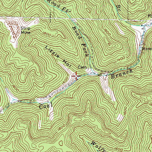 Topographic Map of Lizzie Hollow, KY
