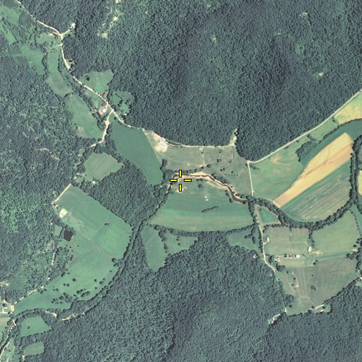 Aerial/Satellite Image of Locust Branch, KY