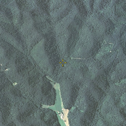 Aerial/Satellite Image of Logan Branch, KY