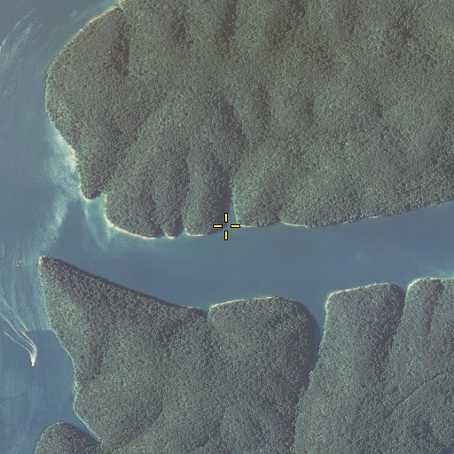 Aerial/Satellite Image of Long Branch, KY