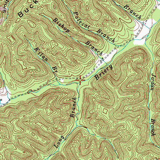 Topographic Map of Long Branch, KY