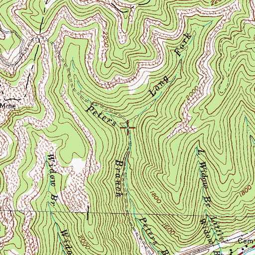 Topographic Map of Long Fork, KY