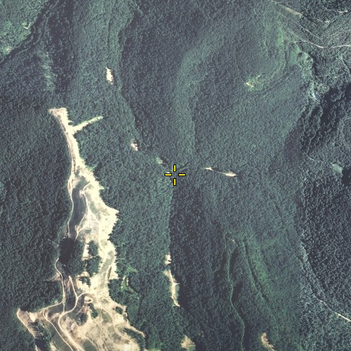 Aerial/Satellite Image of Long Fork, KY