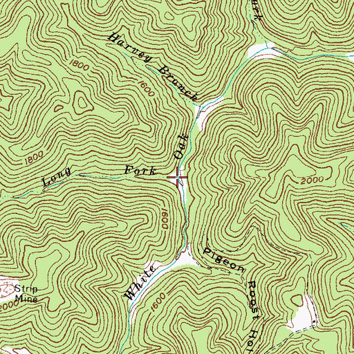 Topographic Map of Long Fork, KY