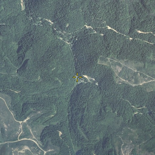 Aerial/Satellite Image of Long Fork, KY