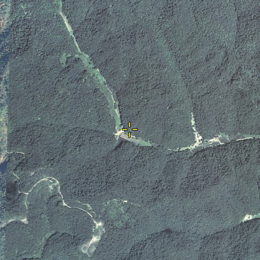 Aerial/Satellite Image of Long Fork, KY