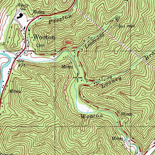 Topographic Map of Looney Branch, KY