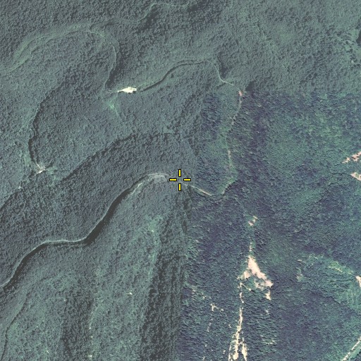 Aerial/Satellite Image of Low Gap, KY