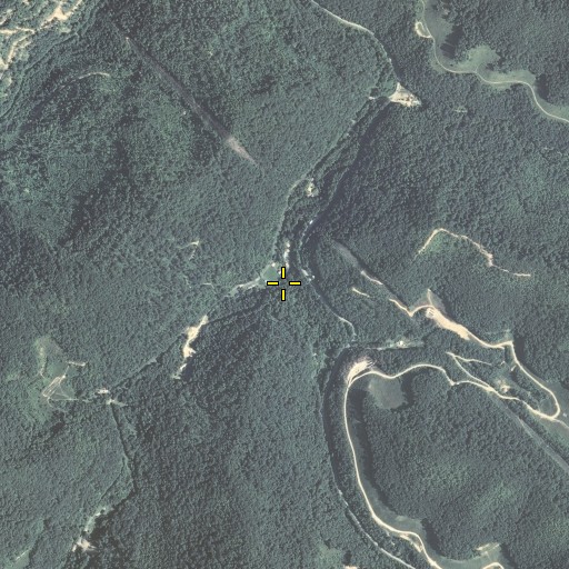 Aerial/Satellite Image of Low Gap Branch, KY