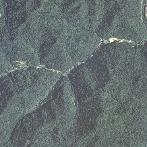 Aerial/Satellite Image of Lower Double Branch, KY