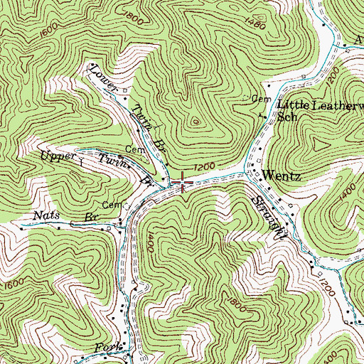 Topographic Map of Lower Twin Branch, KY