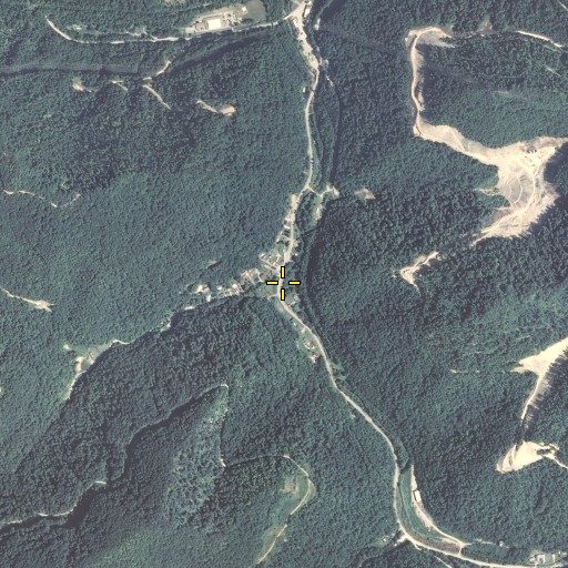 Aerial/Satellite Image of Lynn Fork, KY