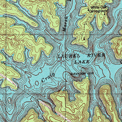 Topographic Map of Marsh Branch, KY