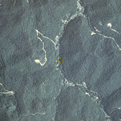 Aerial/Satellite Image of Mathias Branch, KY