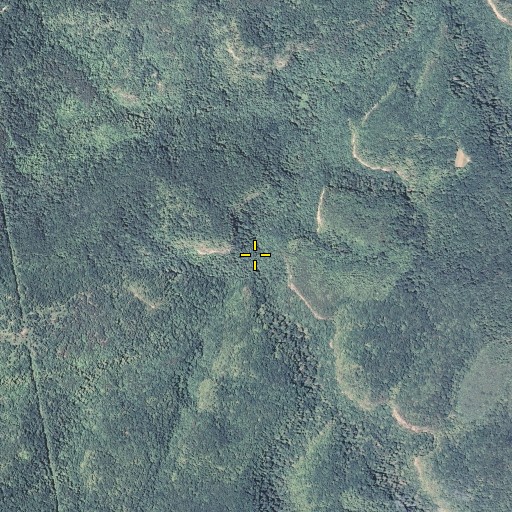 Aerial/Satellite Image of Maxewell Branch, KY