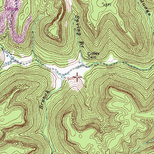 Topographic Map of Maxwell Branch, KY