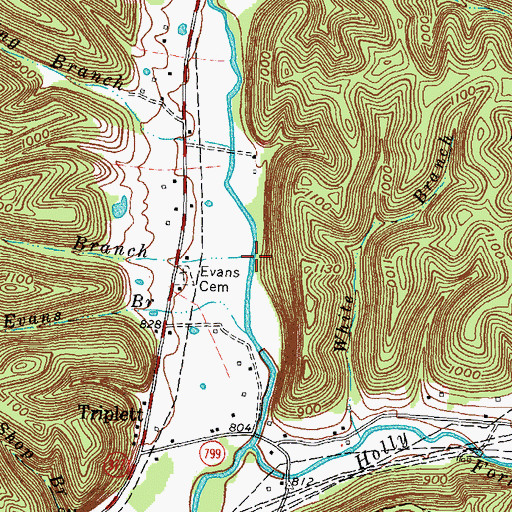 Topographic Map of McClurg Branch, KY