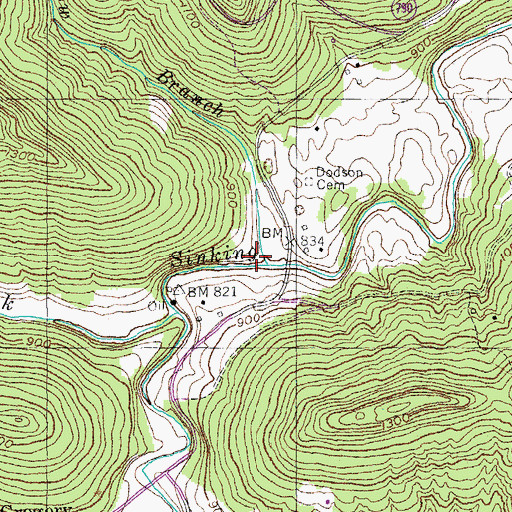 Topographic Map of Meadow Branch, KY