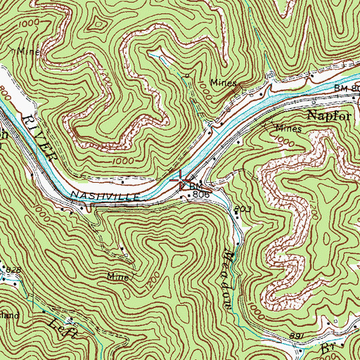 Topographic Map of Meadow Branch, KY