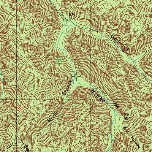Topographic Map of Merill Branch, KY