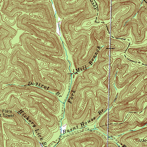 Topographic Map of Mill Branch, KY