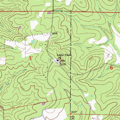 Topographic Map of Lone Oak Church, AR