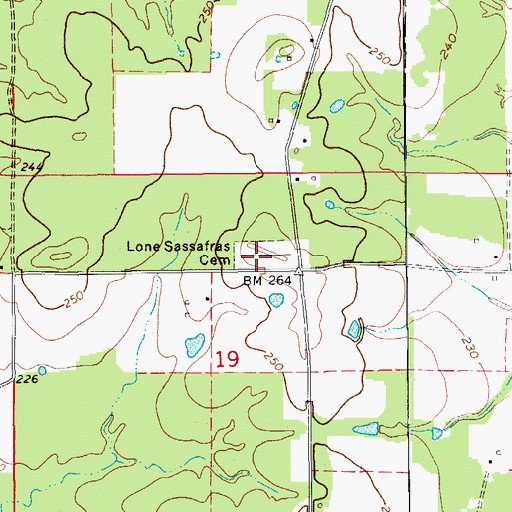Topographic Map of Lone Sassafras Cemetery, AR
