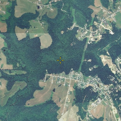 Aerial/Satellite Image of Mitchell Creek, KY