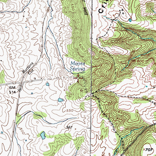 Topographic Map of Moore Spring, KY