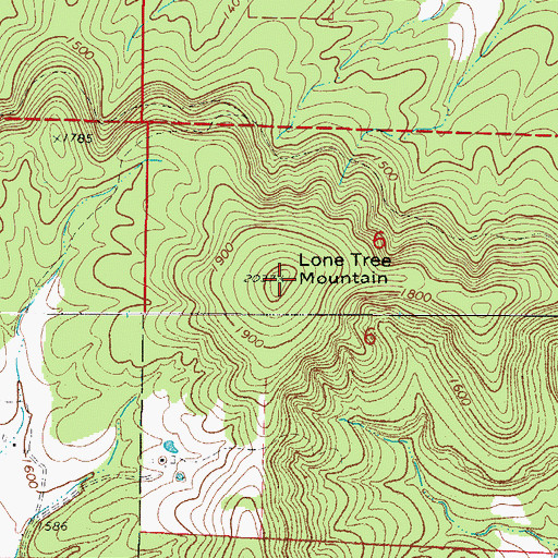 Topographic Map of Lone Tree Mountain, AR