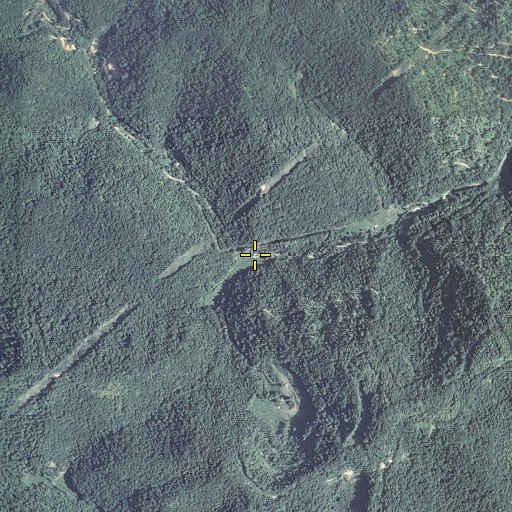 Aerial/Satellite Image of Morris Fork, KY