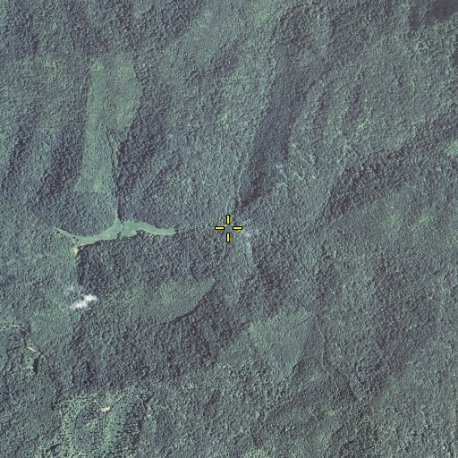 Aerial/Satellite Image of Mosley Fork, KY