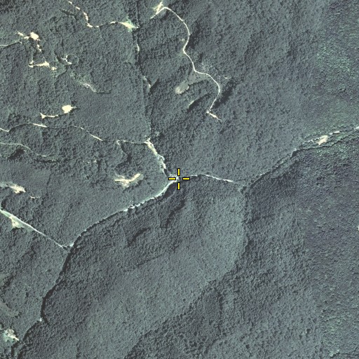 Aerial/Satellite Image of Mud Lick Fork, KY