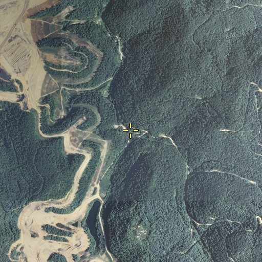 Aerial/Satellite Image of Muncy Branch, KY