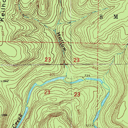 Topographic Map of Long Branch Hollow, AR
