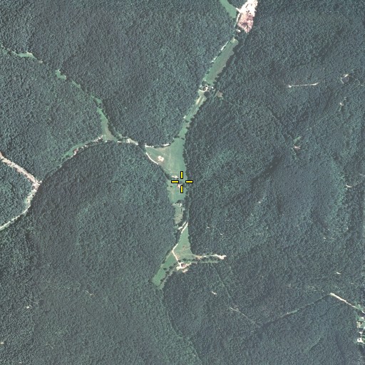Aerial/Satellite Image of Myers Fork, KY