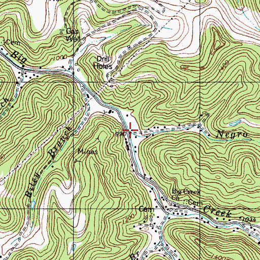 Topographic Map of Negro Branch, KY