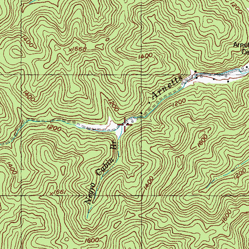 Topographic Map of Negro Cabin Branch, KY