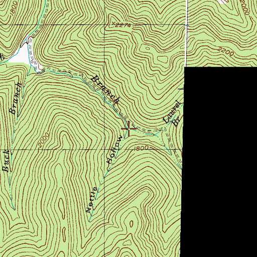 Topographic Map of Nettle Hollow, KY