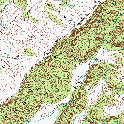 Topographic Map of Newmans Bluff, KY