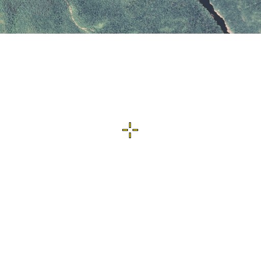 Aerial/Satellite Image of Newt Branch, KY