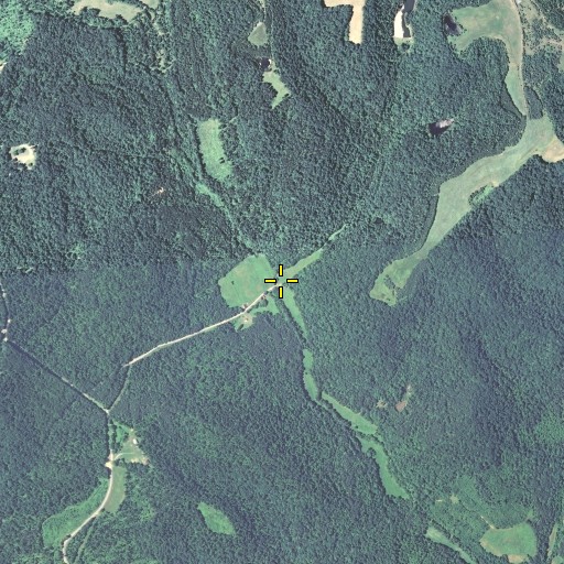 Aerial/Satellite Image of Nicely Branch, KY