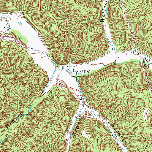 Topographic Map of Nichols Branch, KY