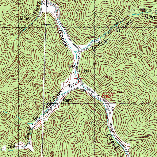 Topographic Map of Old Field Branch, KY