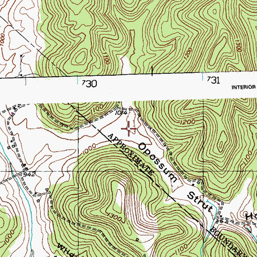 Topographic Map of Opossum Strut Hollow, KY